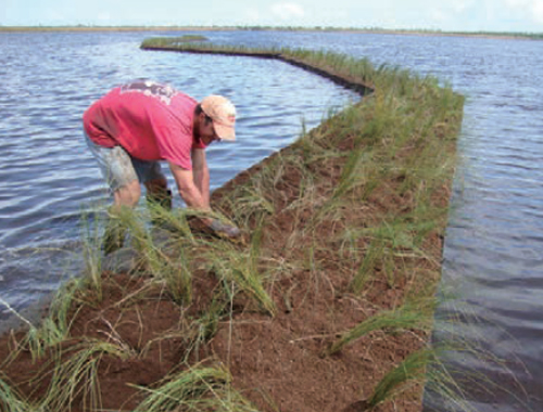 湖泊及饮用水源地水质净化与生态修复