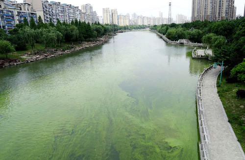 城市污染河道治理与生态修复